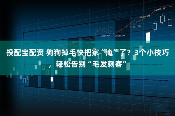 投配宝配资 狗狗掉毛快把家“淹”了？3个小技巧，轻松告别“毛发刺客”