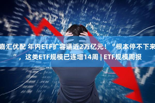 嘉汇优配 年内ETF扩容逼近2万亿元！“根本停不下来”，这类ETF规模已连增14周 | ETF规模周报