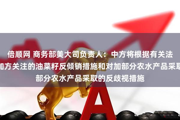 倍顺网 商务部美大司负责人：中方将根据有关法律法规，调整加方关注的油菜籽反倾销措施和对加部分农水产品采取的反歧视措施